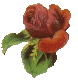 roseBP3.gif (4148 bytes)